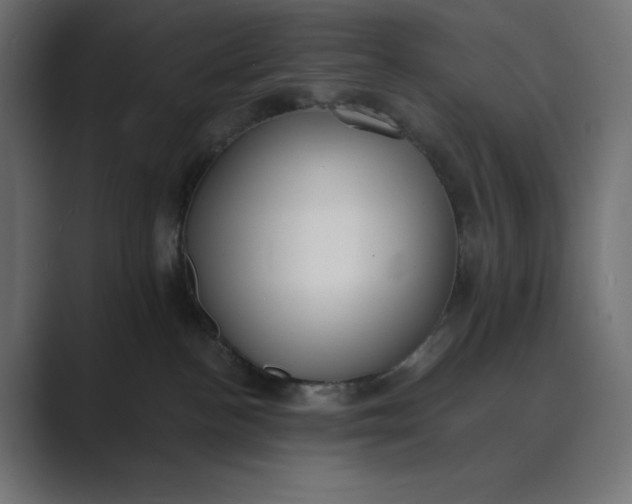 X0000089390188200706291341