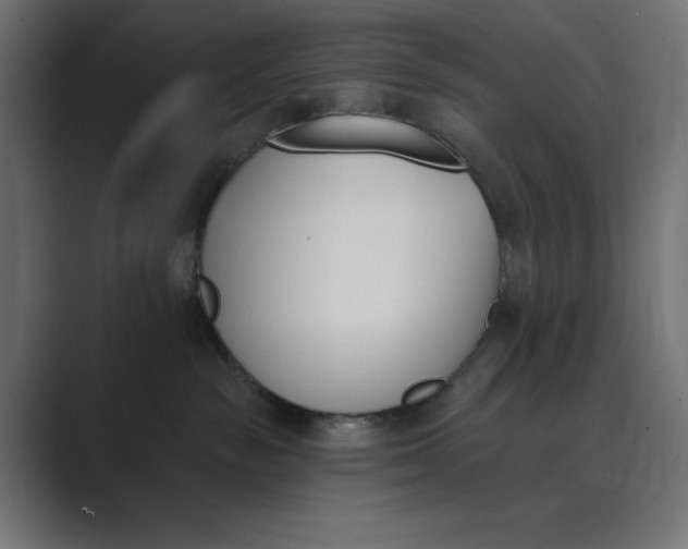 X0000089390189200706291341