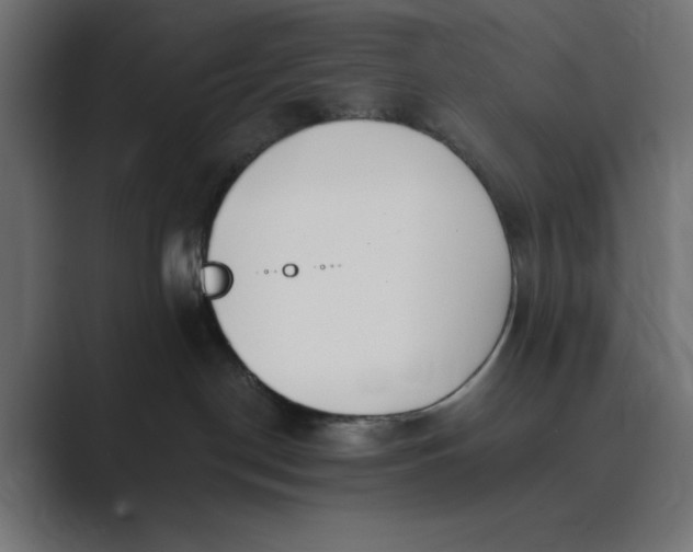 X0000089390190200706291341