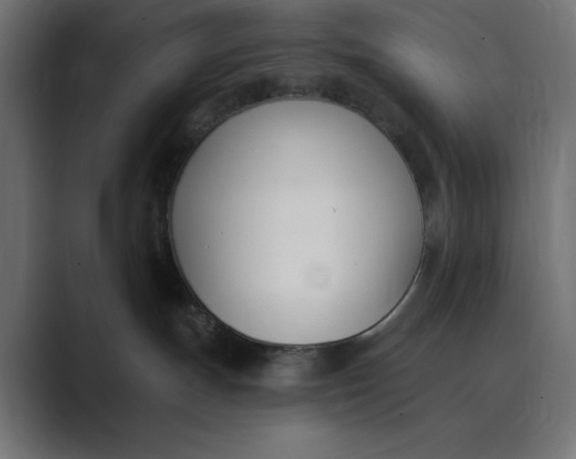 X0000089390191200706291341