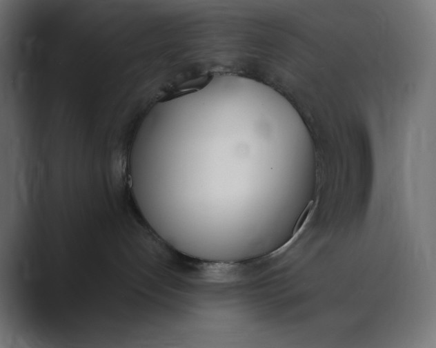 X0000089390192200706291341
