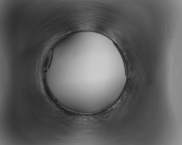 X0000089390193200706291341
