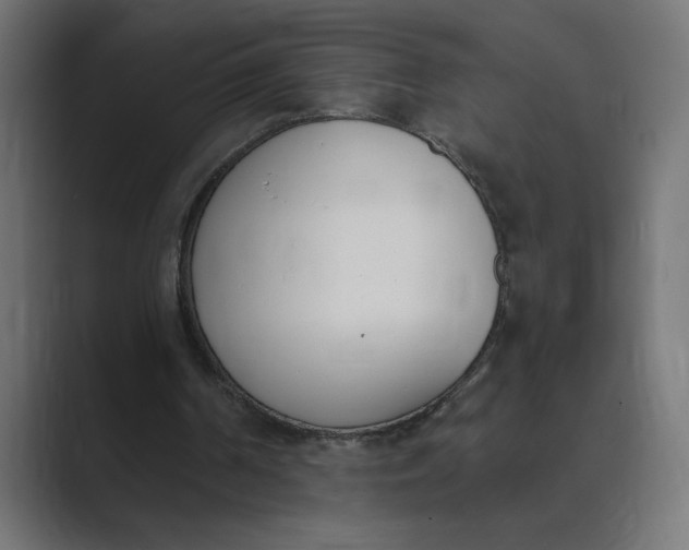 X0000089390194200706291341