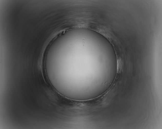 X0000089390195200706291341