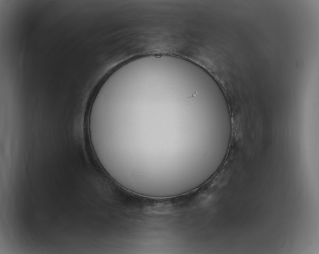 X0000089390196200706291341