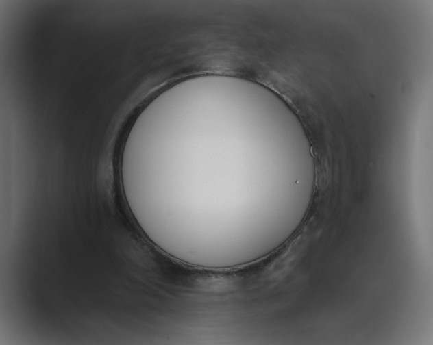 X0000089390198200706291341