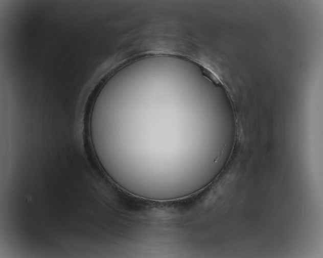 X0000089390199200706291340