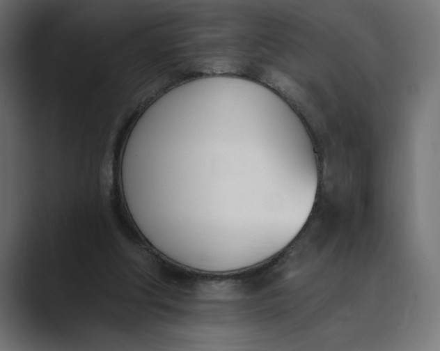 X0000089390202200706291340
