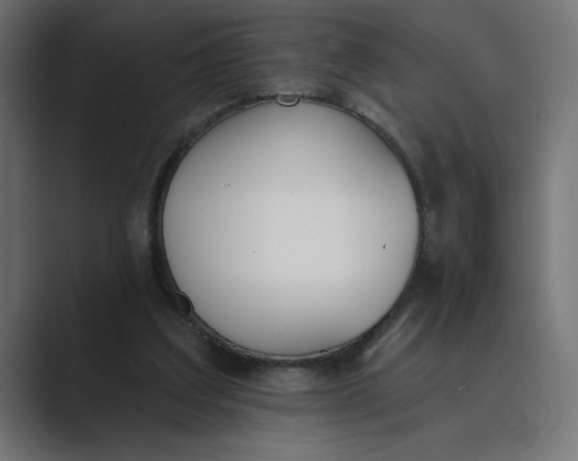 X0000089390203200706291340