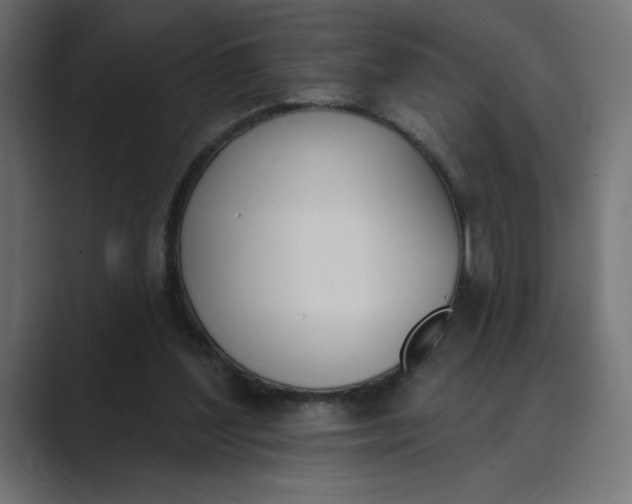X0000089390204200706291340