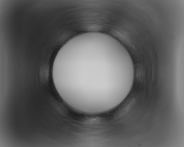 X0000089390206200706291340