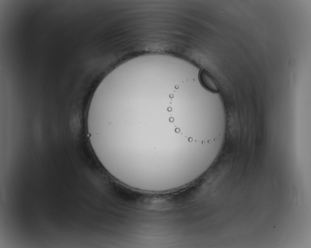 X0000089390208200706291340