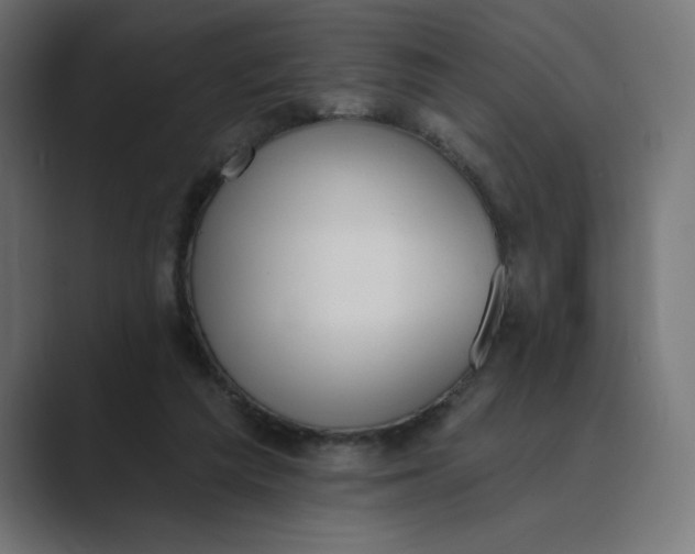 X0000089390209200706291340