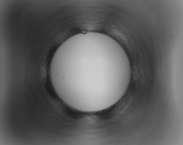 X0000089390210200706291340
