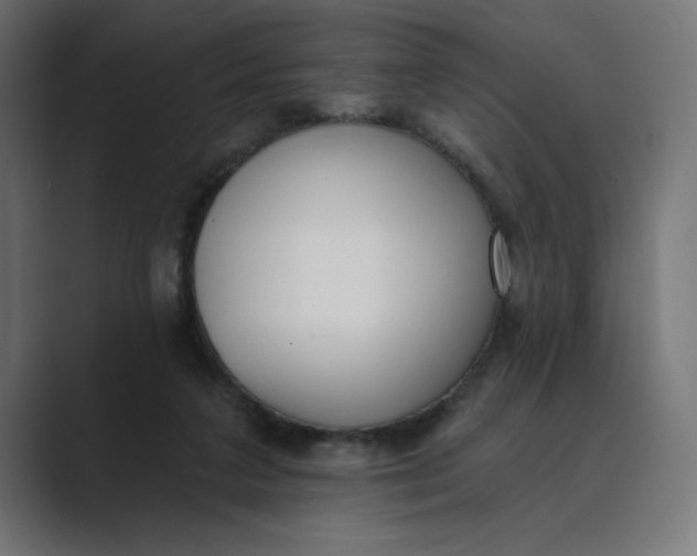 X0000089390211200706291340