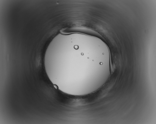 X0000089390212200706291340