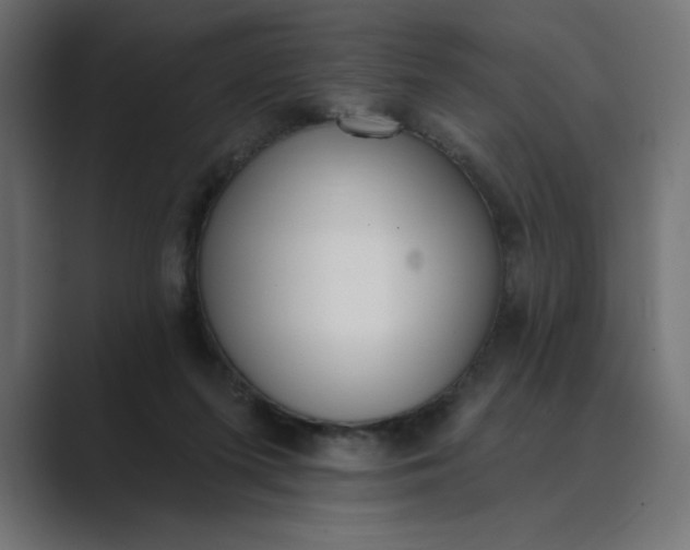 X0000089390215200706291340