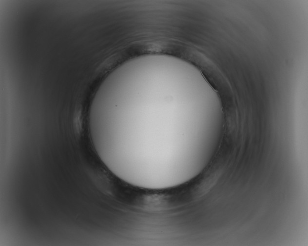X0000089390216200706291340
