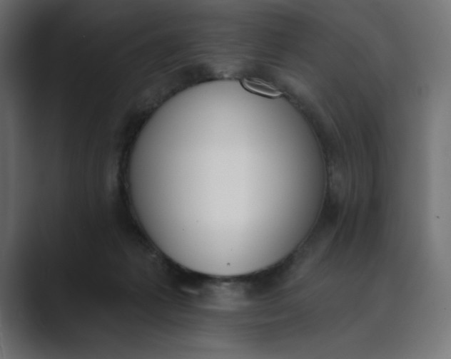X0000089390221200706291340