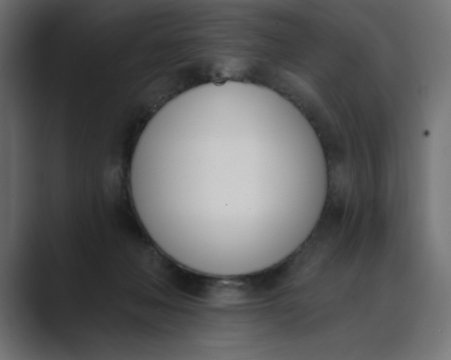 X0000089390222200706291340