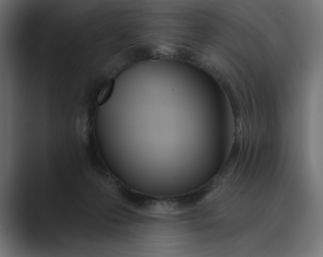 X0000089390223200706291340