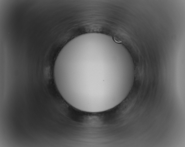 X0000089390224200706291340
