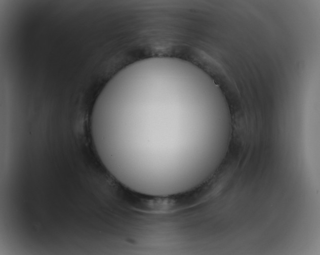 X0000089390225200706291340
