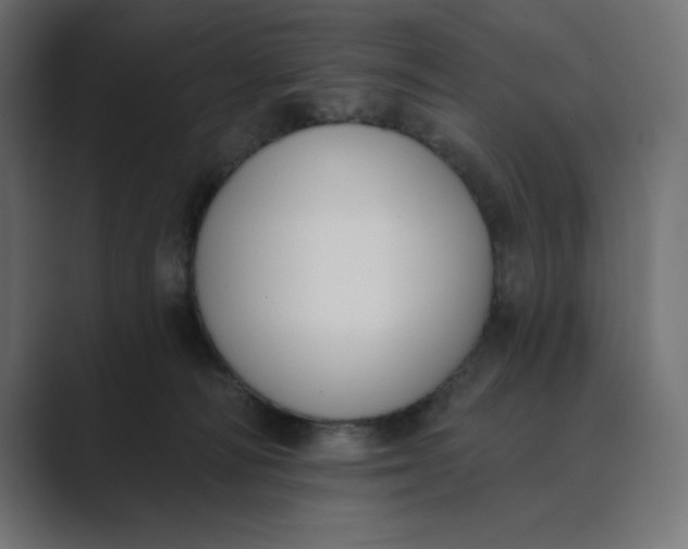 X0000089390226200706291340