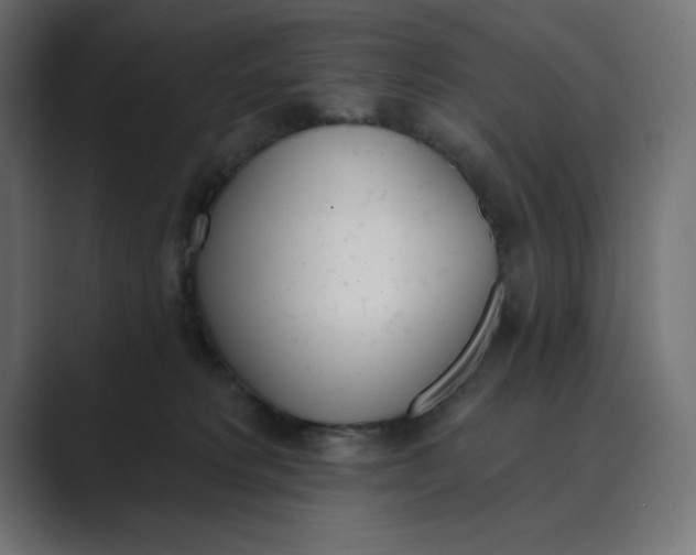 X0000089390229200706291340