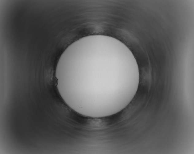 X0000089390230200706291340