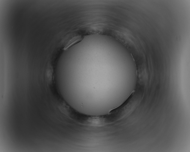 X0000089390231200706291340