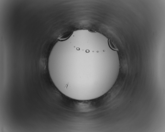 X0000089390232200706291340