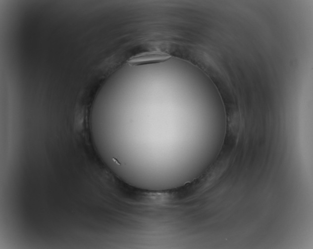 X0000089390233200706291340