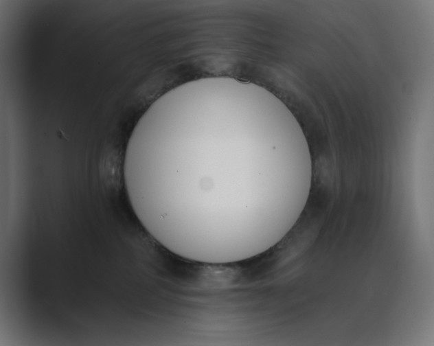 X0000089390234200706291340