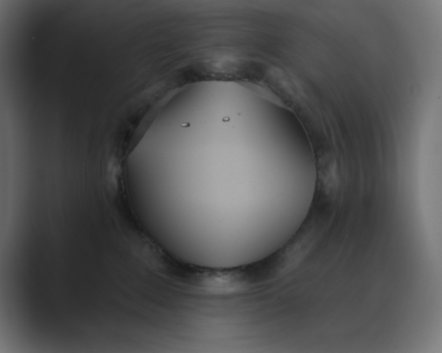 X0000089390235200706291340
