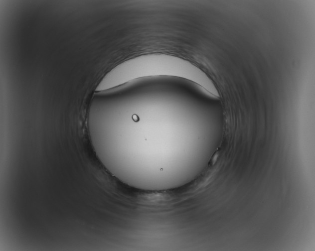 X0000089390237200706291340