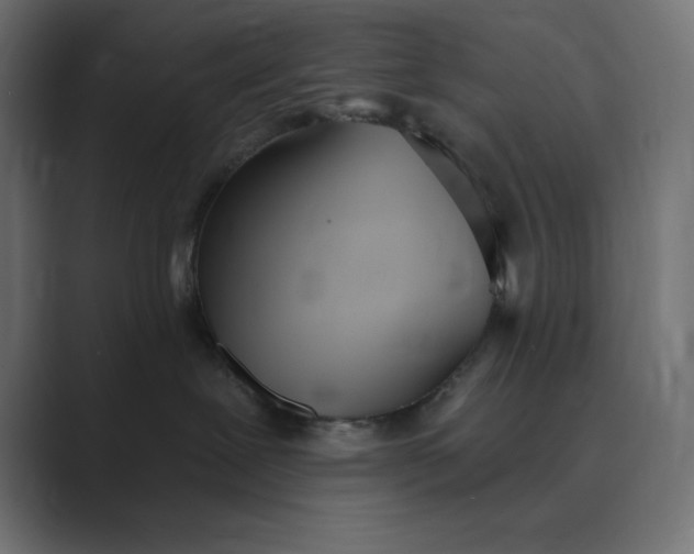 X0000089390239200706291340