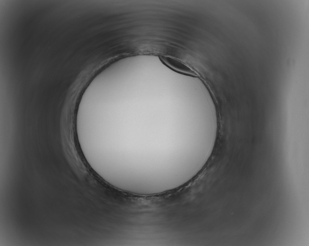 X0000089390241200706291339