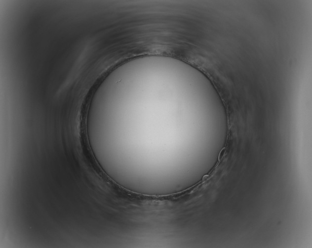 X0000089390242200706291339