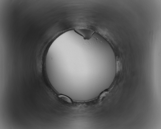 X0000089390243200706291339