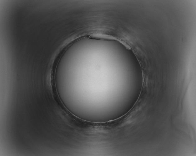 X0000089390244200706291339