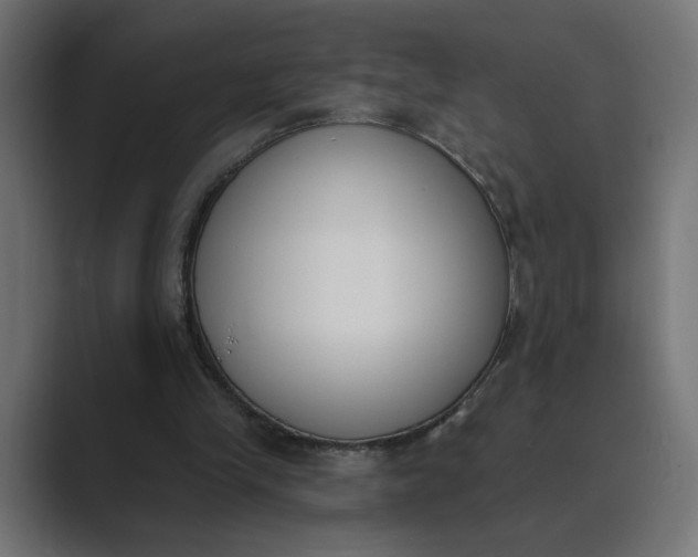 X0000089390245200706291340