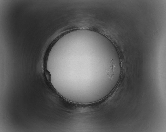 X0000089390246200706291340