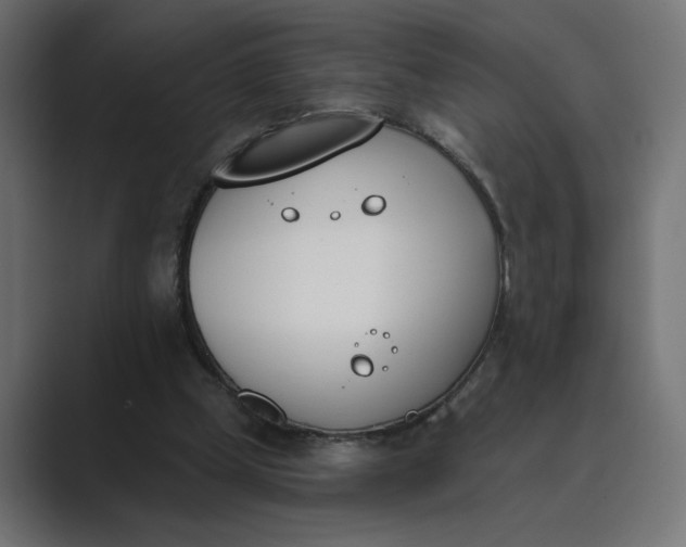 X0000089390249200706291340