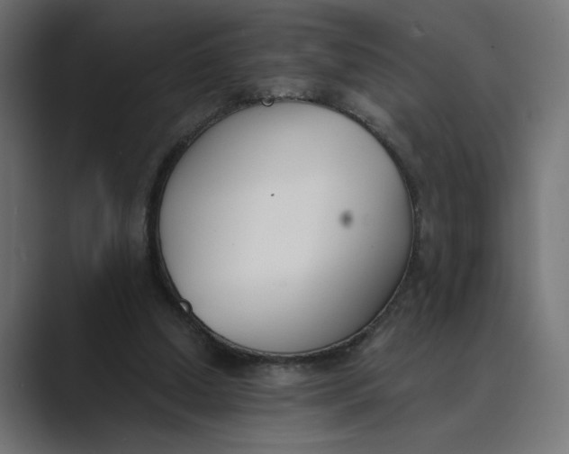 X0000089390250200706291340