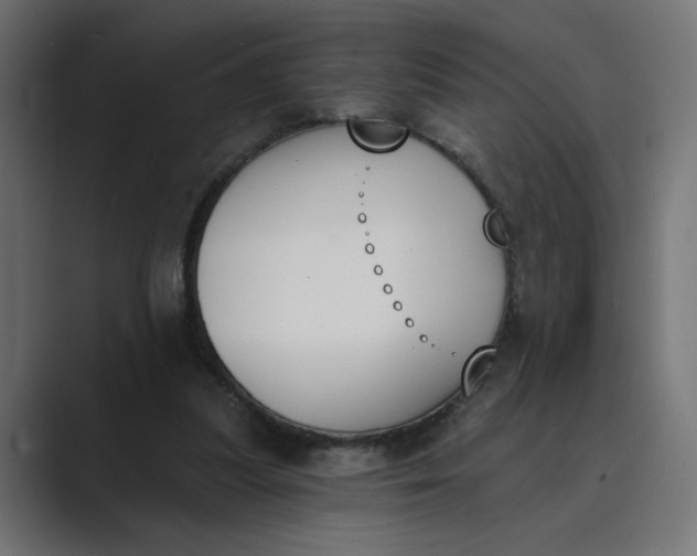 X0000089390251200706291340