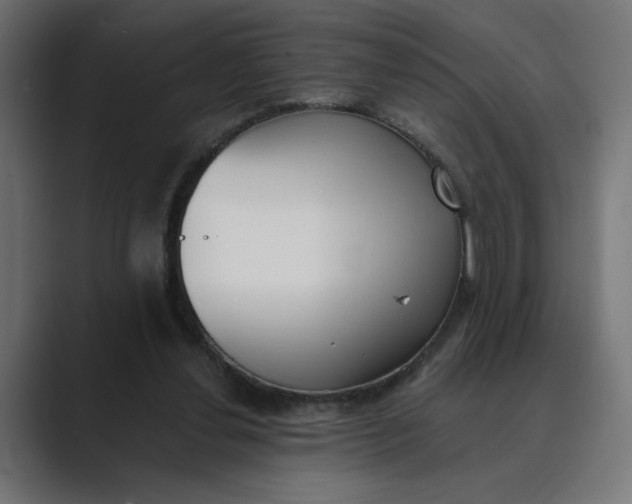X0000089390252200706291340