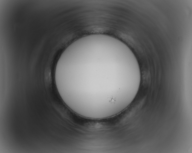 X0000089390254200706291340