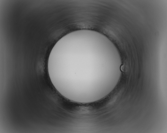 X0000089390255200706291340
