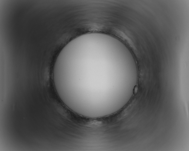 X0000089390257200706291340